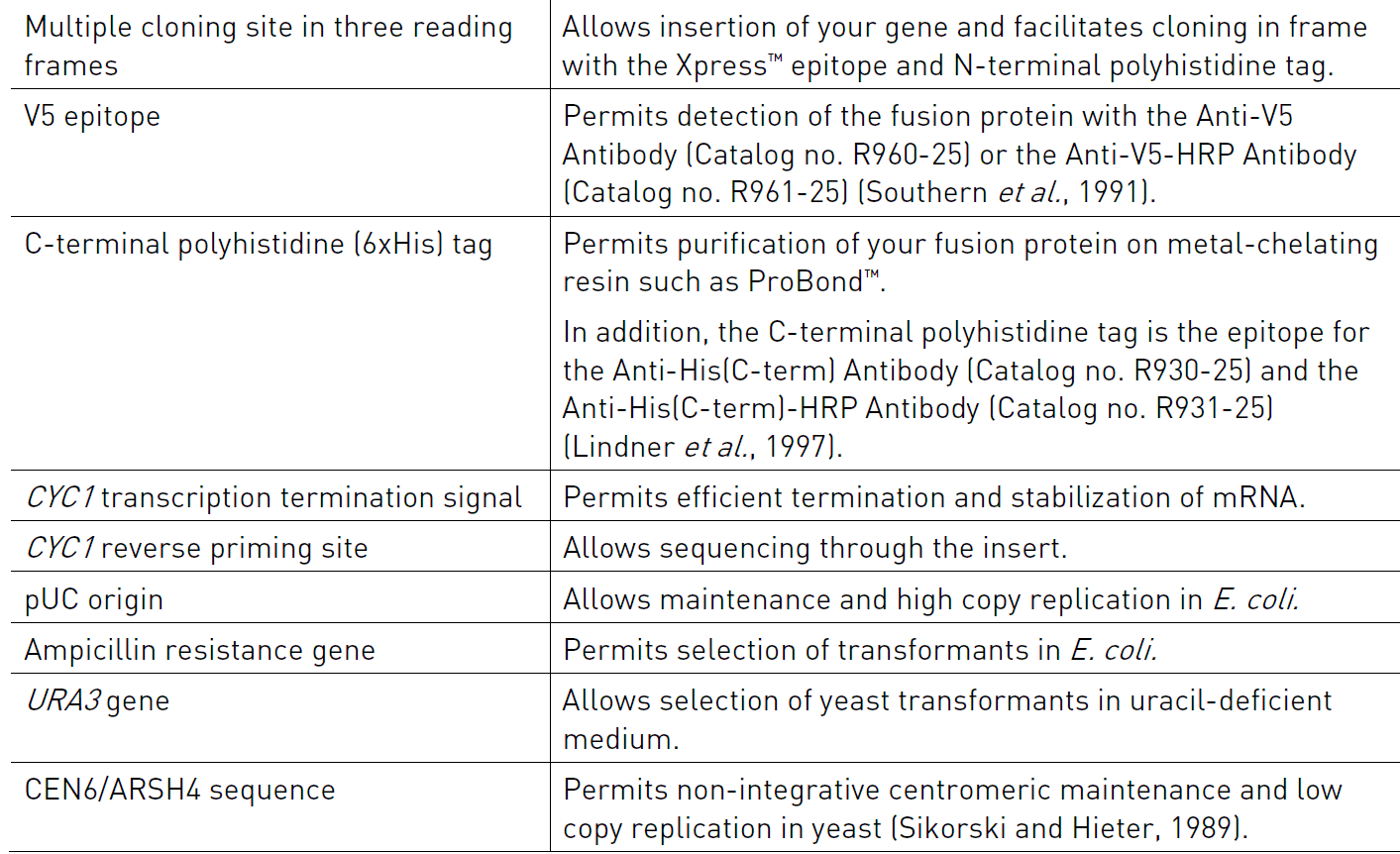 pYC2/NT C 载体特征